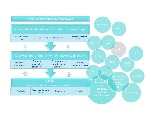 System wsparcia w obszarze doradztwa grafika