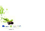Wewnątrzszkolny system doradztwa zawodowego grafika