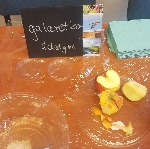 Doświadczenia na lekcji biologii w szkole grafika
