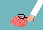 Warsztaty: Neurodydaktyka dla nauczycieli grafika