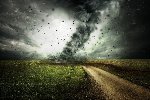 Ankieta dotycząca zmian klimatycznych grafika